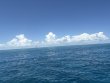Sunday August 17th 2025 Tropical Odyssey: Logans Run reef report photo 1