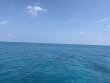Tuesday September 9th 2025 Tropical Odyssey: Christ Statue reef report photo 1