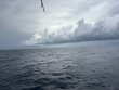 Wednesday September 17th 2025 Tropical Odyssey: Spiegel Grove reef report photo 1