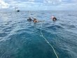 Monday September 22nd 2025 Tropical Odyssey: Molasses Reef reef report photo 1