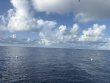 Tuesday September 23rd 2025 Tropical Odyssey: Spiegel Grove reef report photo 1