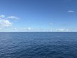 Thursday September 25th 2025 Tropical Odyssey: Spiegel Grove reef report photo 1
