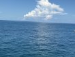 Thursday September 25th 2025 Tropical Odyssey: City of Washington reef report photo 1