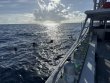 Saturday September 27th 2025 Tropical Odyssey: Spiegel Grove reef report photo 1