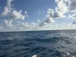 Thursday March 26th 2026 Tropical Odyssey: Spiegel Grove reef report photo 1