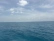 Thursday June 18th 2026 Tropical Odyssey: Christ Statue reef report photo 1