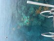 Tuesday June 23rd 2026 Tropical Odyssey: Fire Coral Cave reef report photo 1