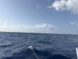 Friday June 26th 2026 Tropical Odyssey: Spiegel Grove reef report photo 1