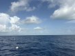 Sunday June 28th 2026 Tropical Odyssey: Spiegel Grove reef report photo 1