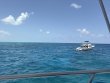 Sunday June 28th 2026 Tropical Odyssey: Hole in the Wall reef report photo 1