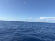 Tuesday June 30th 2026 Tropical Odyssey: USCGC Duane reef report photo 1