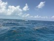 Sunday July 19th 2026 Tropical Odyssey: JJs Cave reef report photo 1
