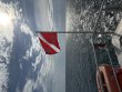 Tuesday July 28th 2026 Tropical Odyssey: Benwood Wreck reef report photo 1