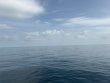 Friday July 31st 2026 Tropical Odyssey: Sand Bottom Cave reef report photo 1