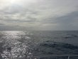Monday August 3rd 2026 Tropical Odyssey: Spiegel Grove reef report photo 1