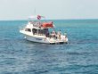 Thursday March 20th 2014 Tropical Odyssey: Eagle Ray Alley reef report photo 4