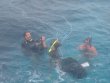 Monday June 2nd 2014 Tropical Odyssey: Eagle Ray Alley reef report photo 1