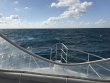 Saturday January 21st 2017 Tropical Odyssey: Spiegel Grove reef report photo 1