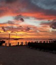 Tuesday October 17th 2017 Tropical Odyssey: Benwood Wreck reef report photo 1