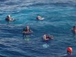 Monday July 14th 2014 Tropical Odyssey: Eagle Ray Alley reef report photo 1