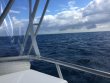 Saturday January 6th 2018 Tropical Odyssey: Spiegel Grove reef report photo 1