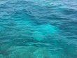 Friday August 29th 2014 Tropical Odyssey: ChristmasTree Cave reef report photo 3