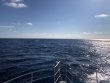 Monday April 29th 2019 Tropical Odyssey: USCGC Duane reef report photo 1