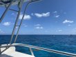 Friday August 7th 2020 Tropical Odyssey: French Reef reef report photo 1