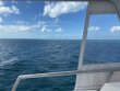 Friday January 29th 2021 Tropical Serenity: Spanish Anchor reef report photo 1