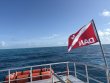 Monday June 9th 2025 Tropical Serenity: Nine Channel reef report photo 1