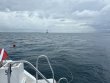 Thursday September 4th 2025 Tropical Serenity: Eagle Ray Alley reef report photo 1
