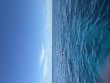 Thursday September 11th 2025 Tropical Serenity: Eagle Ray Alley reef report photo 1