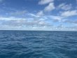Saturday September 13th 2025 Tropical Serenity: Permit Ledges reef report photo 1