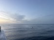 Tuesday June 16th 2026 Tropical Serenity: Benwood Wreck reef report photo 1