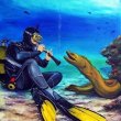 Saturday June 20th 2026 Tropical Serenity: Hole in the Wall reef report photo 1