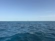 Wednesday July 15th 2026 Tropical Serenity: Coral Canyons reef report photo 1