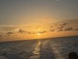 Tuesday July 21st 2026 Tropical Serenity: Benwood Wreck reef report photo 1