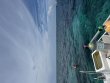 Monday July 27th 2026 Tropical Serenity: Christ Statue reef report photo 1