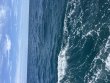 Tuesday July 28th 2026 Tropical Serenity: Benwood Wreck reef report photo 1