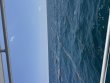 Wednesday July 29th 2026 Tropical Serenity: Conch Ledge reef report photo 1