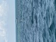 Thursday July 30th 2026 Tropical Serenity: Christ Statue reef report photo 1