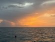 Monday August 3rd 2026 Tropical Serenity: CRF Nursery reef report photo 1