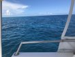 Monday August 20th 2018 Tropical Serenity: French Reef reef report photo 1