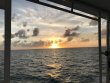 Saturday November 17th 2018 Tropical Serenity: Benwood Wreck reef report photo 1