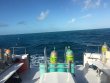 Tuesday December 29th 2015 Tropical Voyager: French Reef reef report photo 1