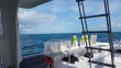 Sunday April 22nd 2018 Tropical Voyager: French Reef reef report photo 1
